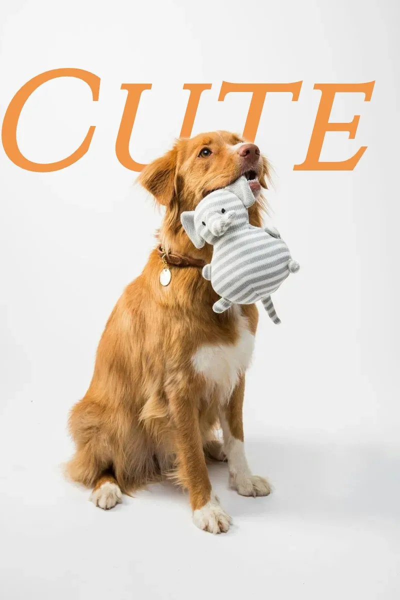CUTE - handwritten style - Text Behind Image Example